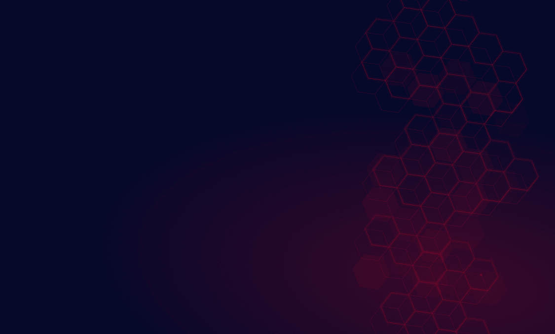 100+ Custom Platforms Delivered According to Business Needs